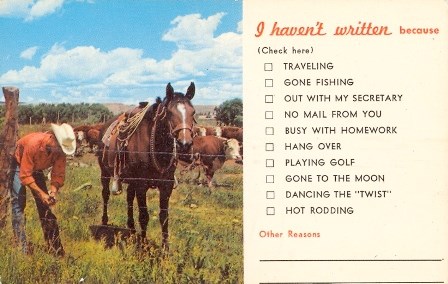 Vintage postcard showing cowboy fixing fence with horse and cattle in background