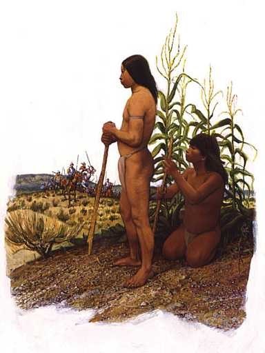 Two people with tools in hand with corn plants in the background.