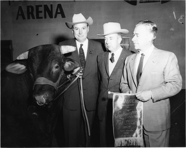 Three men standing next to bull.