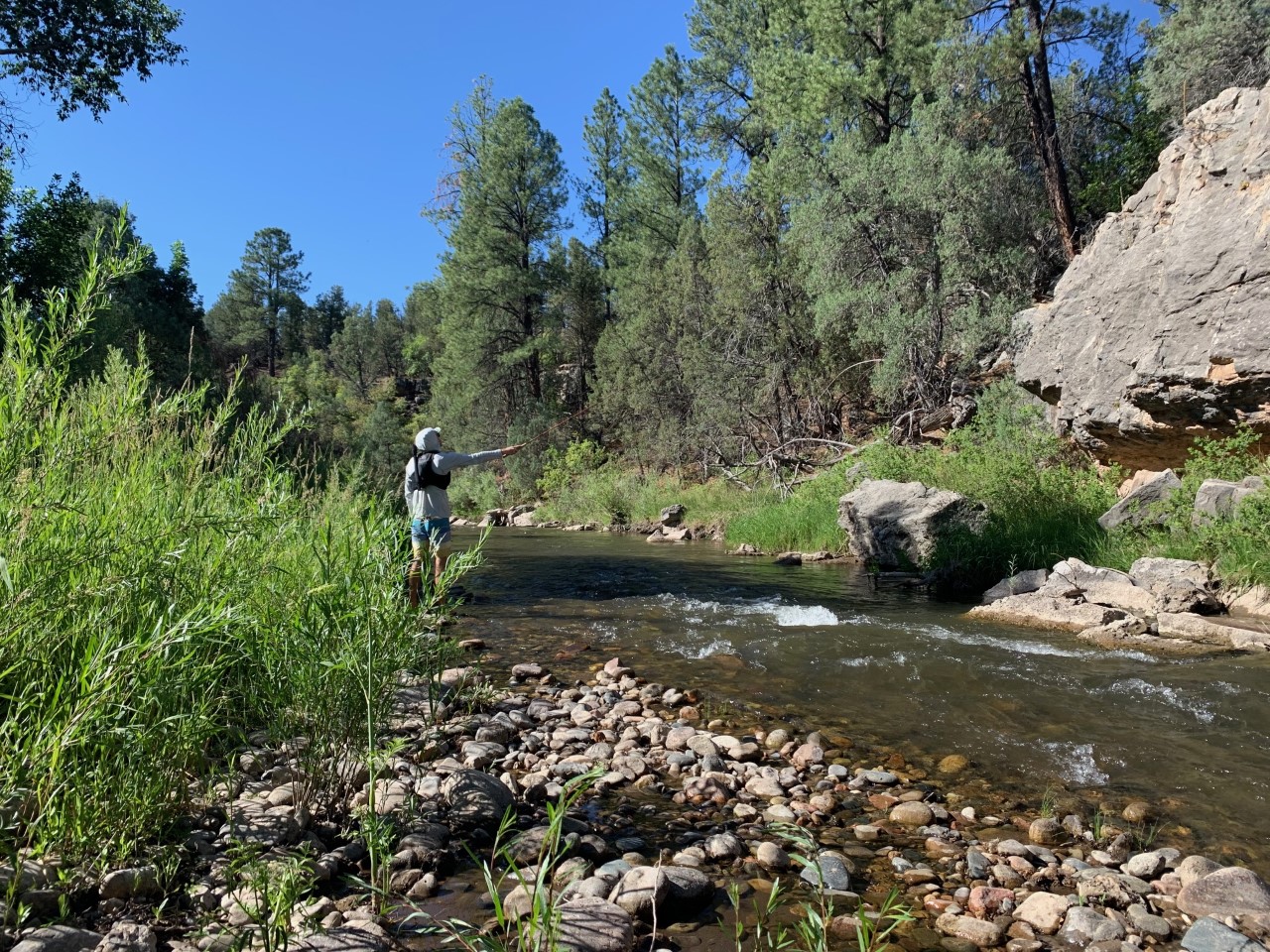 A man fly fishing on a river.