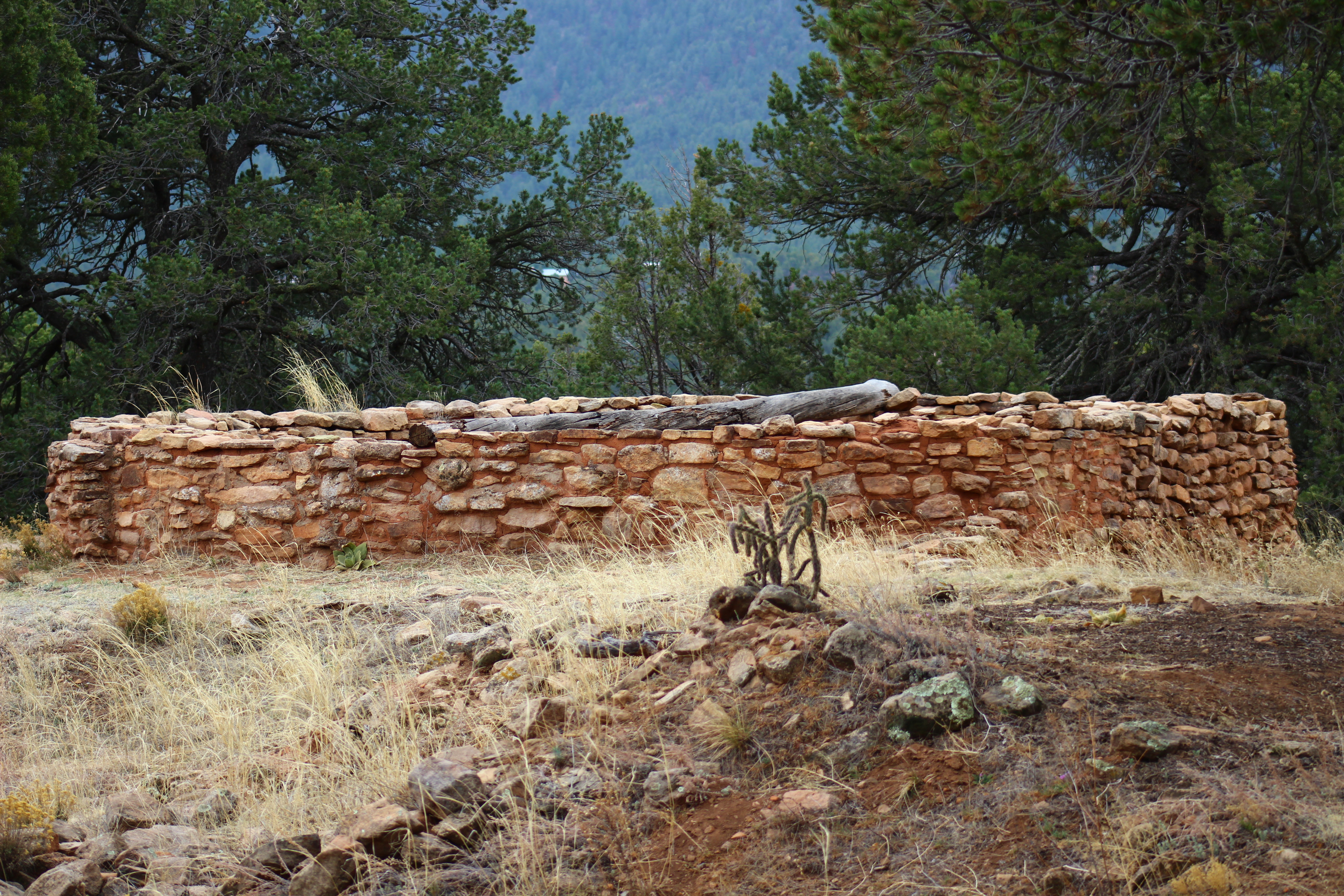 Pueblo, trees, green, sky, blue, cactus