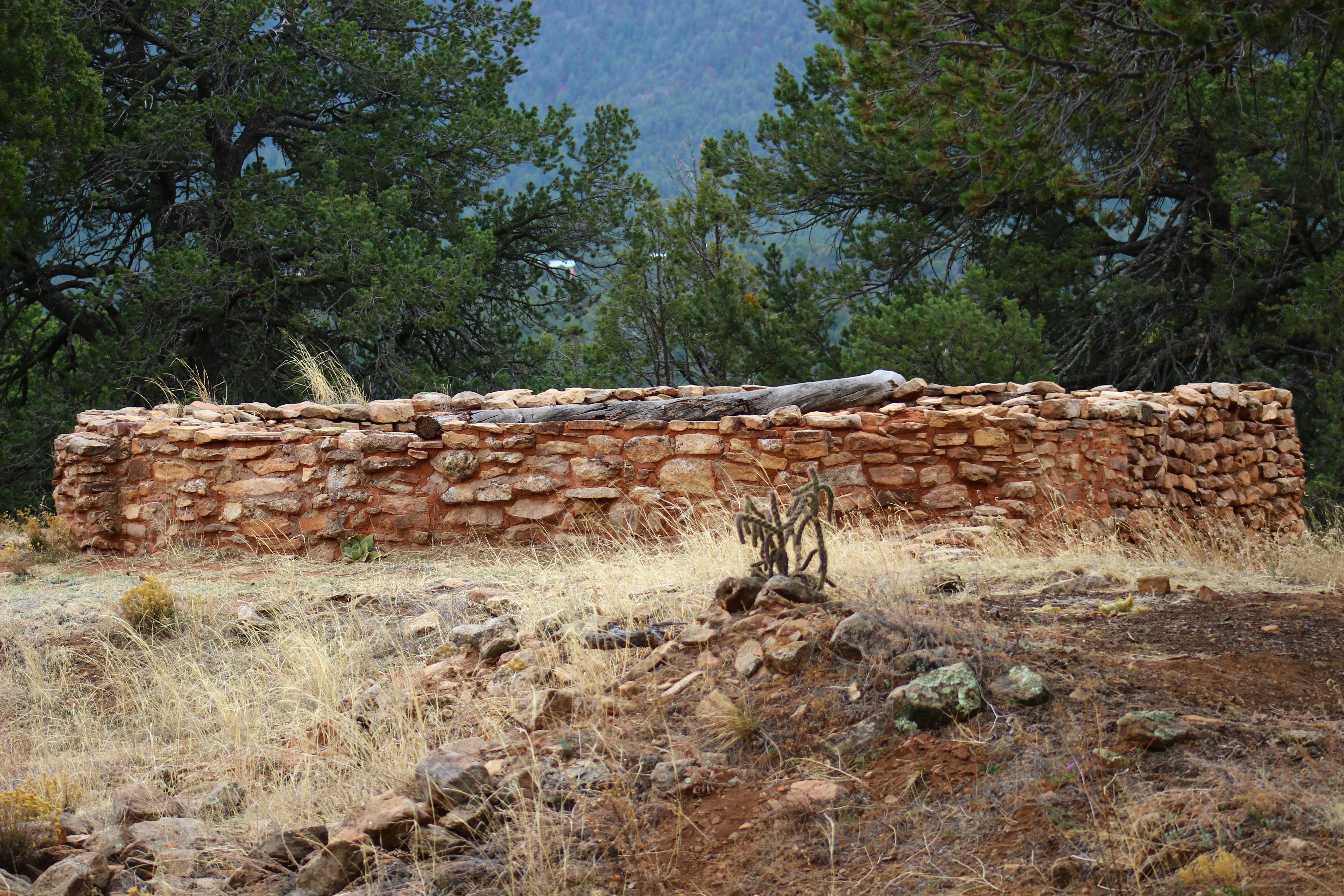 Sandstone Walls, Sky, Trees