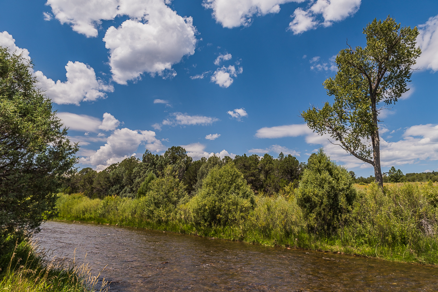 View of a river from a trail with trees in the background.