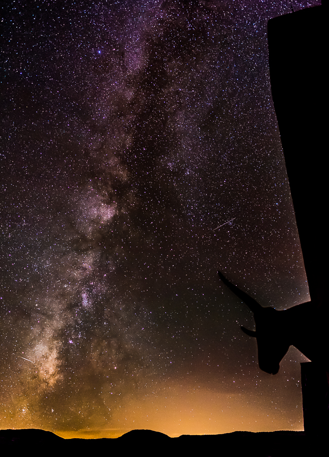 A steerhead with a starry night sky in the background.