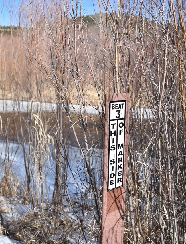 A brown post labeled "Beat 3 - This Side of Marker" stands in bare willows.