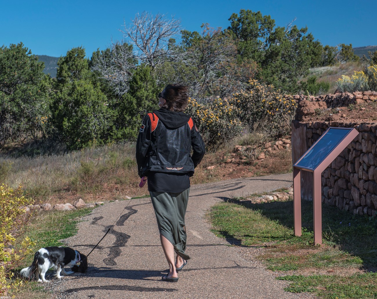 Woman walking dog on trail