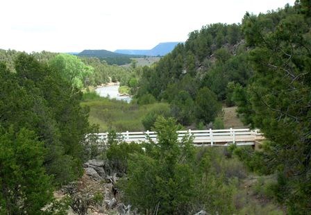 Green trees line the banks of a white bridge traversing a creek Green trees line the banks of a white bridge traversing a creek
