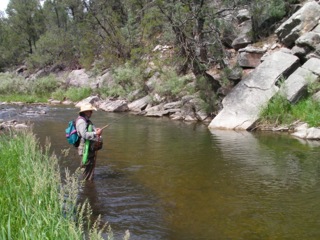 fly-fishing-3-by-doug-brown.jpeg fly fishing 3 by doug brown