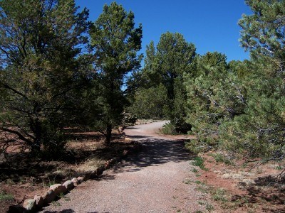Short unpaved section of main loop trail Short unpaved section of main loop trail