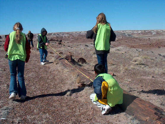 Education Paleontological Data Collecting