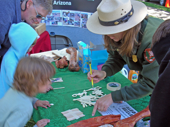 Education Science Fair