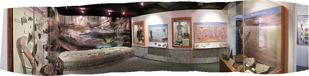 a panorama of paleontology exhibit room