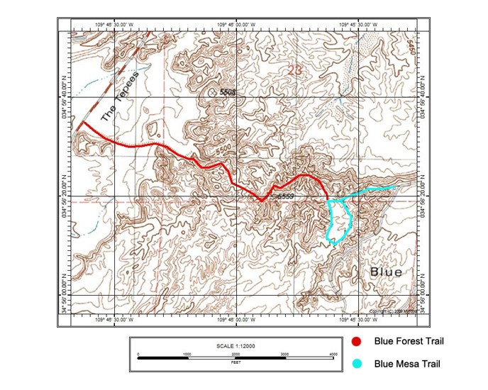 Blue Forest and Blue Mesa Trails Map