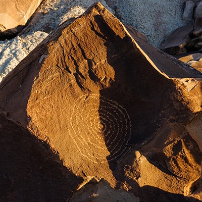 Off the Beaten Path - Petrified Forest National Park (U.S ... - 400 x 400 jpeg 64kB