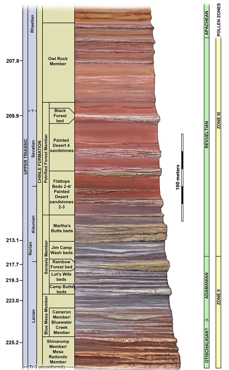 Petrified Forest Geological Chinle Stratigraphy