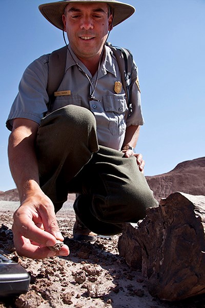 Dr. Bill Parker in the Field with Fossil
