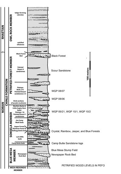 Petrified Wood Layers in Petrified Forest National Park