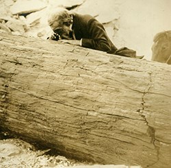 bearded man leans over large log bearded man leans over large log