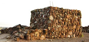 The petrified wood walls of Agate House