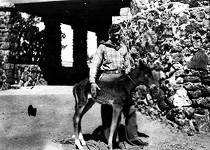 Man and colt in front of petrified wood wall and patio