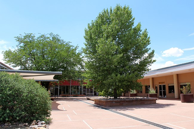 Painted Desert Community Complex PDCC Painted Desert Community Complex plaza with summer trees