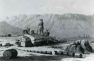 Explorers and Settlers - Petrified Forest National Park (U.S.