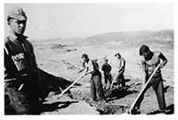 young man looks at camera while others dig ditch
