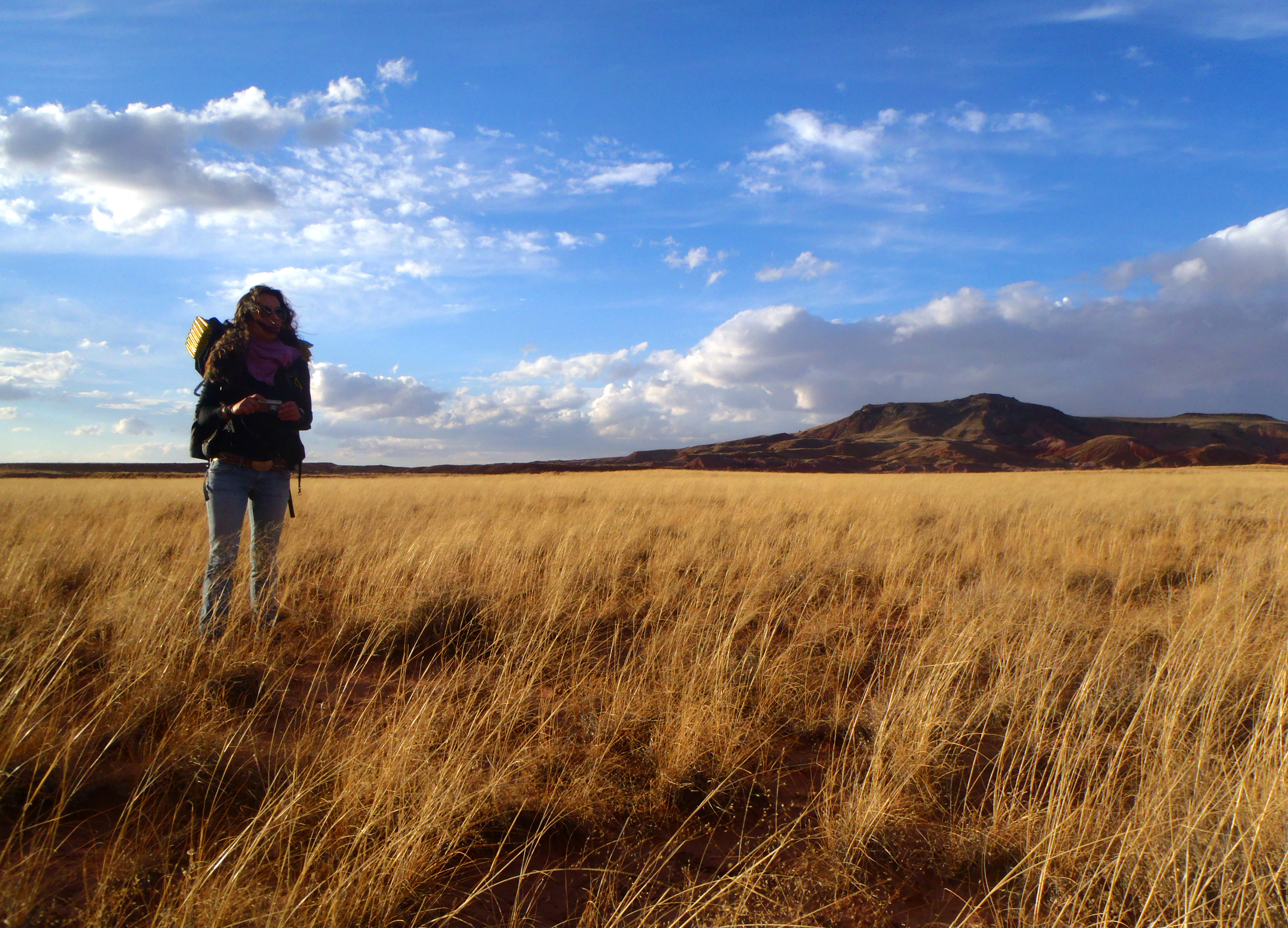 Hiker looking away over a grassland under a blue sky.