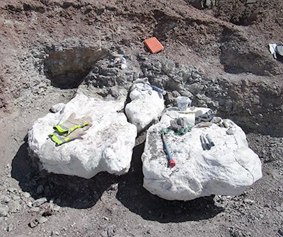 a pair of large field jackets at dig site