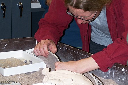 Pottery in Prep Lab