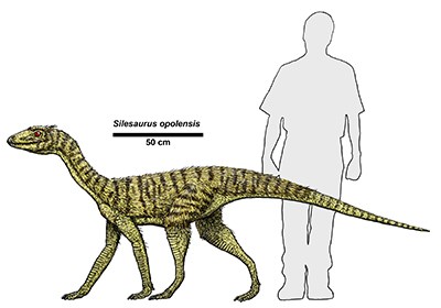drawing of archosaur roughly size of great dane