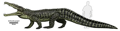 drawing of phytosaur as tall as a human