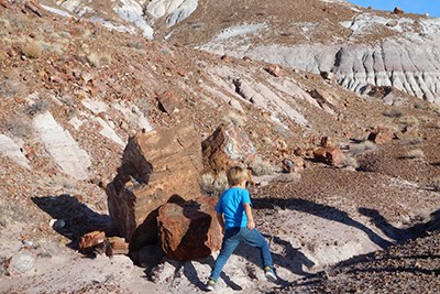 Kid on Jasper Forest hike among badlands and petrified wood
