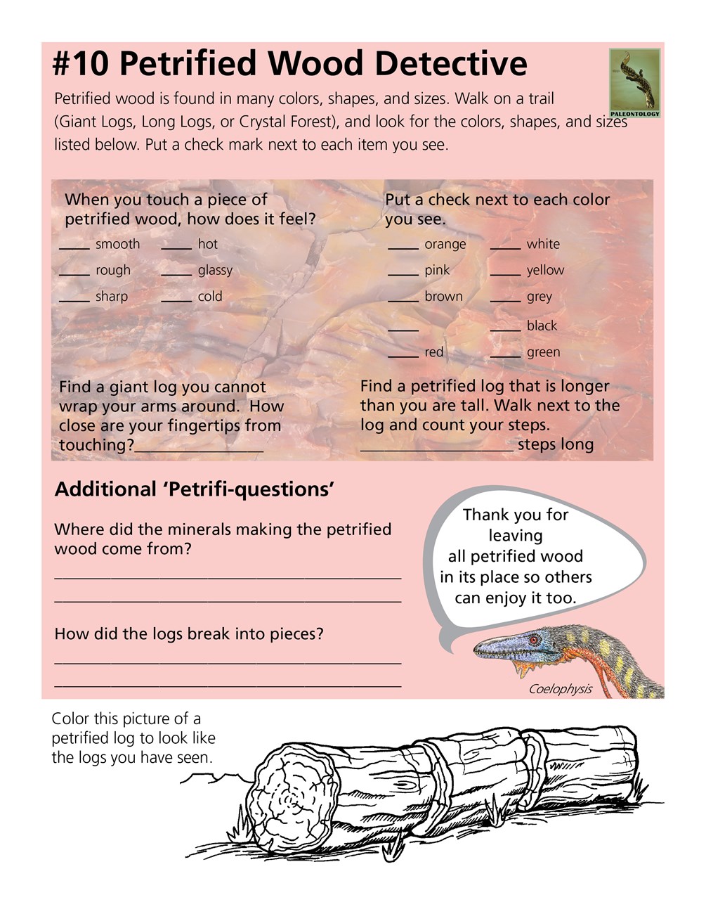 Junior Ranger book page with images and text