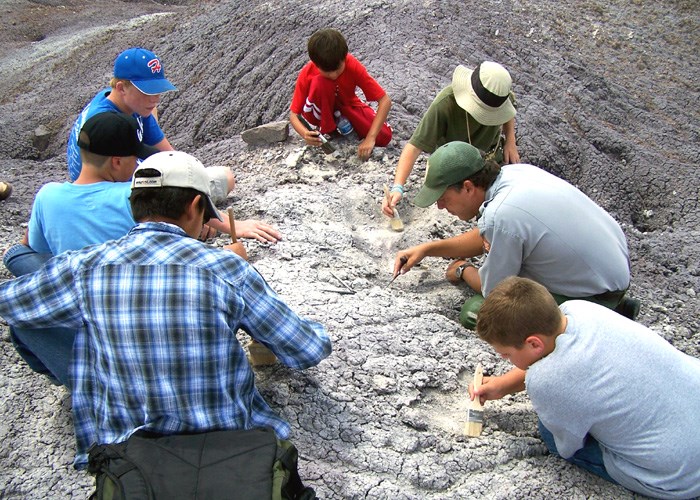 Paleo Day Camp students dig with the paleontologist