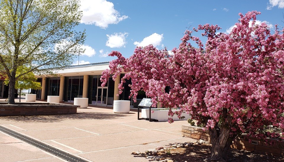 Plaza with flower and non-flowering trees, Mid-century buildings around.