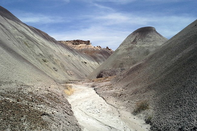 Blue Mesa Member, Chinle Formation