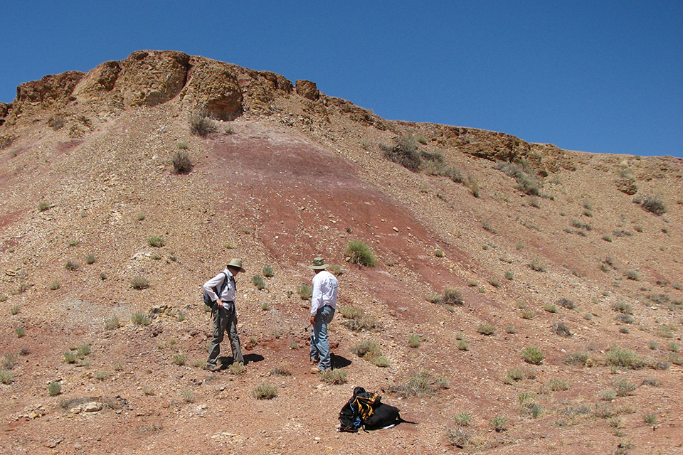 Geologic Formations Petrified Forest National Park (U.S. National