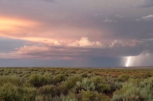 Grassland Lightning