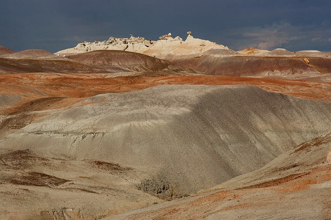 Badlands of Blue Mesa and Sonsela Members