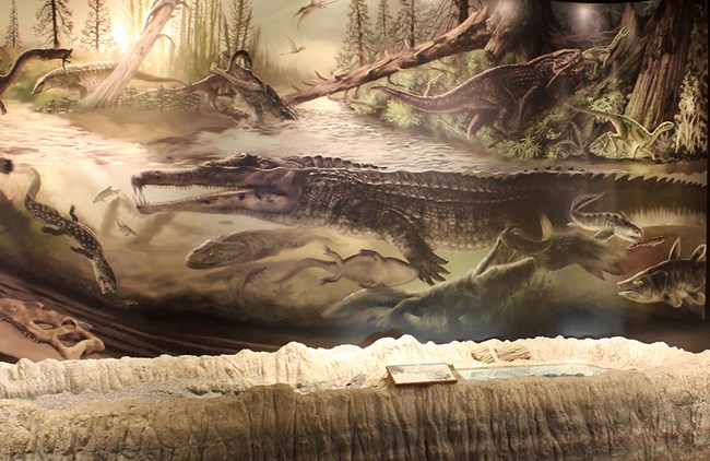 Late Triassic scene in Blue Mesa Room, Rainbow Forest Museum Late Triassic scene in Blue Mesa Room, Rainbow Forest Museum