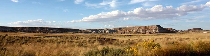 puffy white clouds over golden grassland