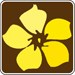 yellow wildflower symbol