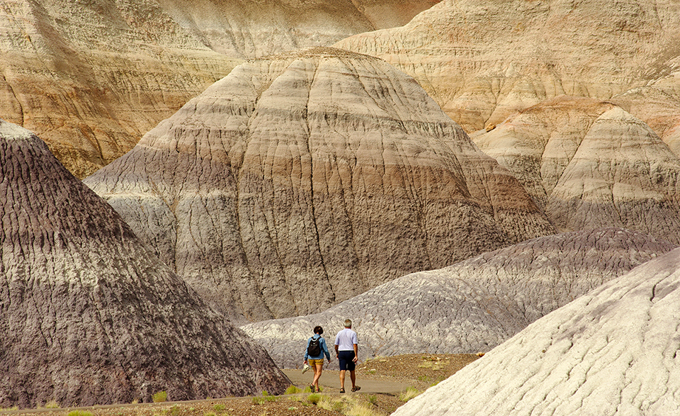 Visitors on the Blue Mesa Trail at Petrified Forest National Park