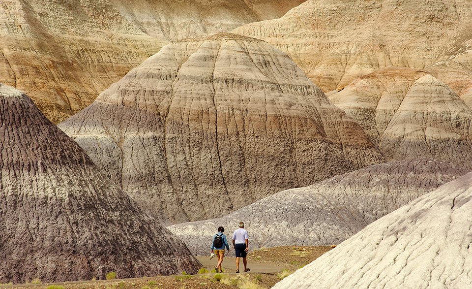 01-11-14 Hikers on Blue Mesa Trail NPS-Stuart Holmes Visitors on the Blue Mesa Trail at Petrified Forest National Park