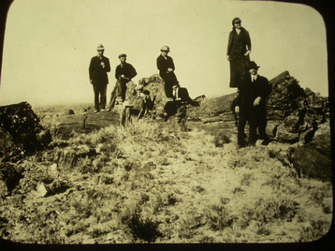 Scott Bunting at Long Logs 1915