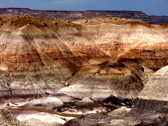 Blue Mesa web