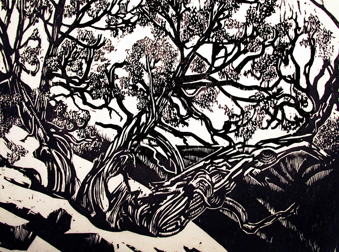 Junipers below the Painted Desert Inn by Nancy Haver