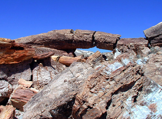 Keystone Arch--a petrified log