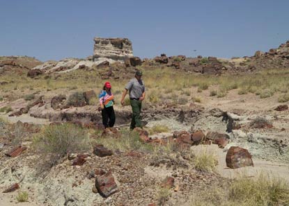 walking through the petrified forest